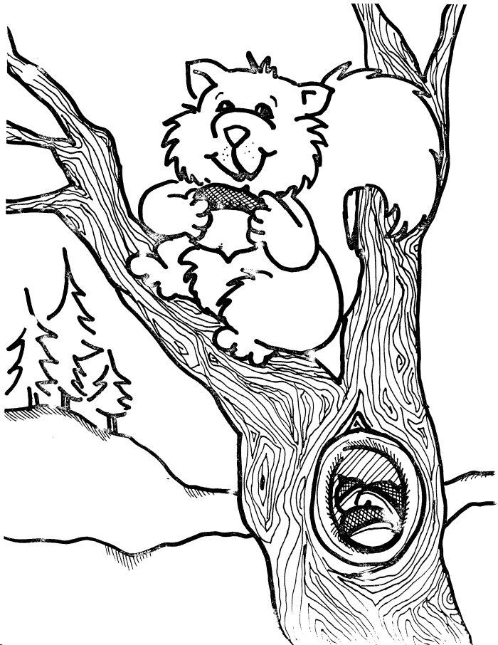 Desenho de Quadro de árvore para colorir - Tudodesenhos