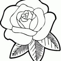 Desenhos de Rosa para colorir - Tudodesenhos