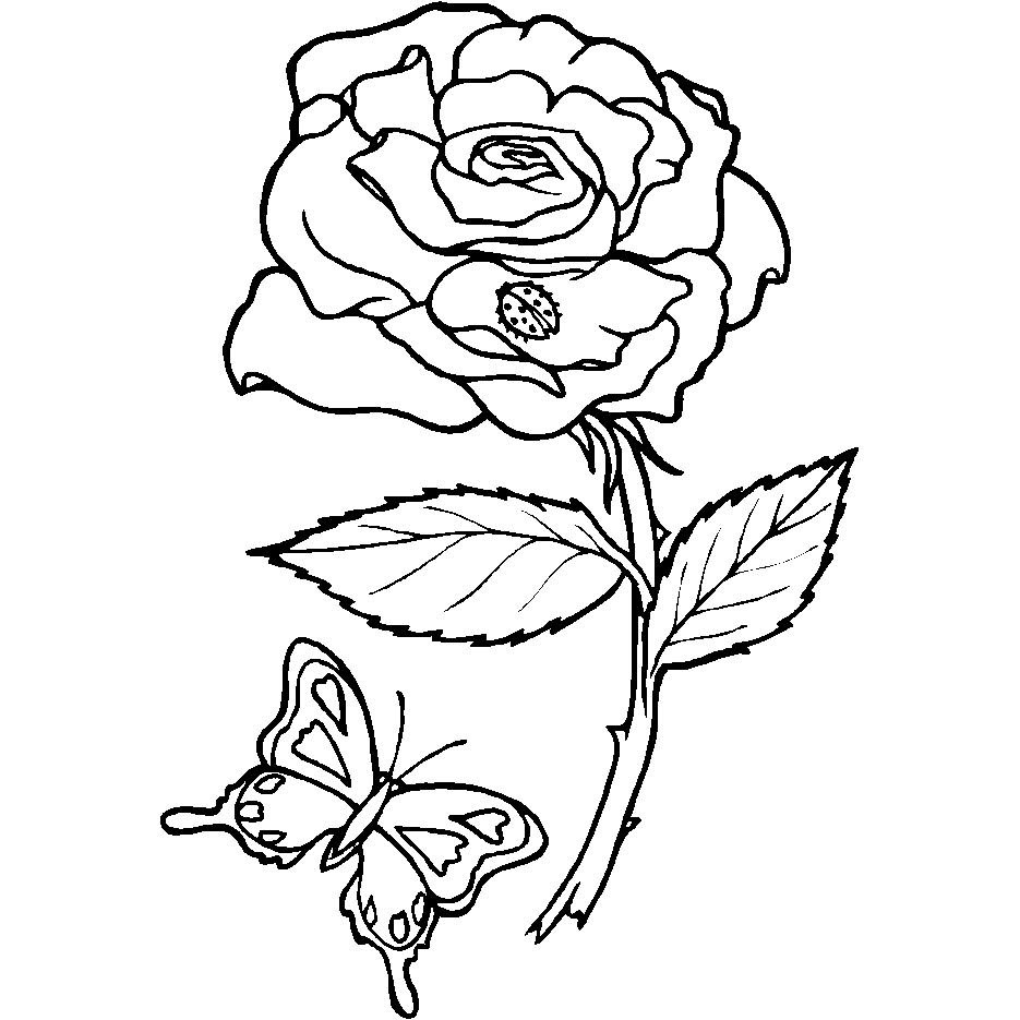 Desenho de Borboletinha e a rosa para colorir - Tudodesenhos