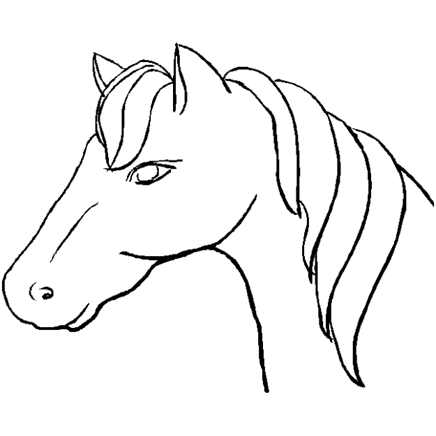 Desenhando um cavalo 