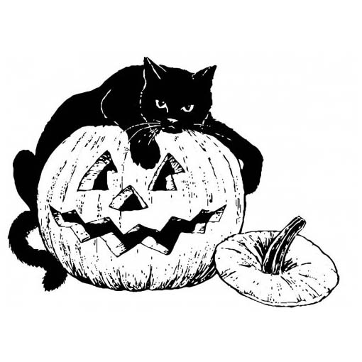 Desenhos para colorir de desenho de um gato preto para colorir  