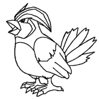 Desenho de Pidgeotto para colorir