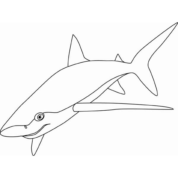 Desenho de Tubarão azul para colorir