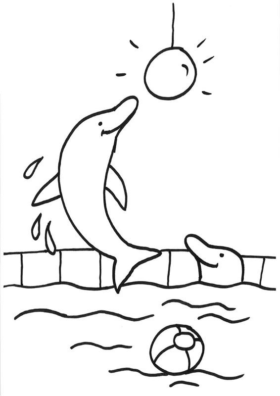 Clube dos Golfinhos - Olá olá Golfinhos 🐬 O jogo das Cobras e Escadas para  imprimir, pintar e te divertires muito a jogar. :D (mostra como ficou  bonito colorido e conta como