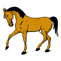 Como Desenhar Um Cavalo 🐴 Desenhar E Colorir Um Cavalo Arco íris 🐎🌈  Desenhos Para Crianças 